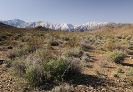 Snowy peaks over the desert